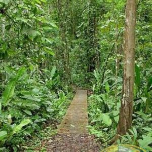 Parque Nacional Cahuita