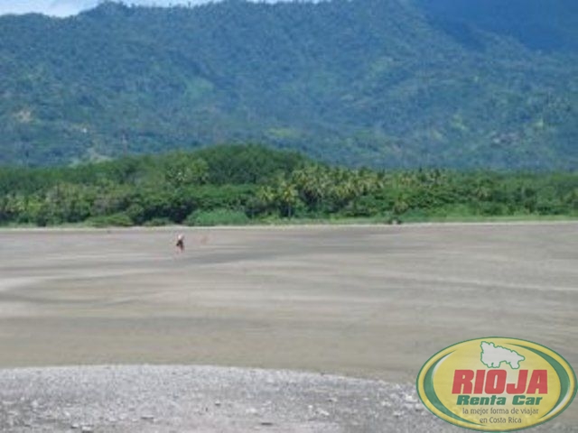 Playa Tortuga