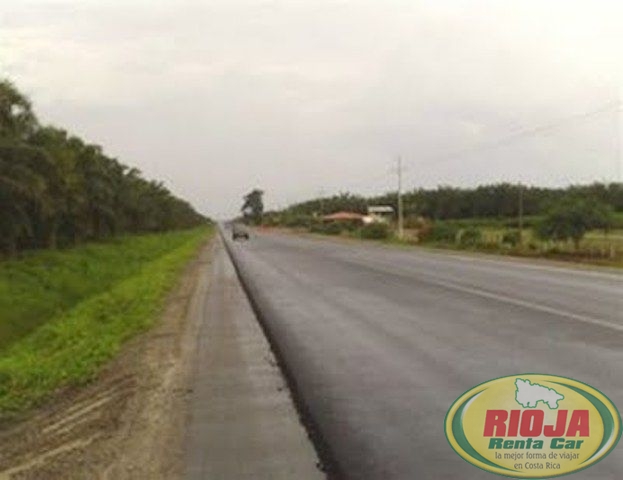 Costanera Sur Casi Terminada