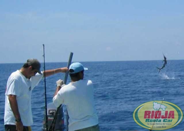 Sport fishing Costa Rica Vacations