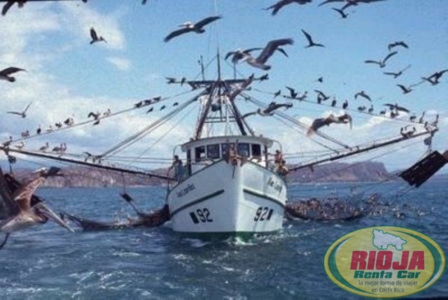 Pesca en Costa Rica