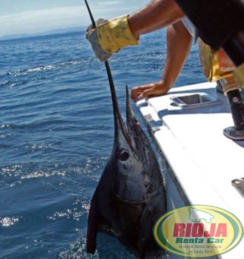 Pesca en Costa Rica