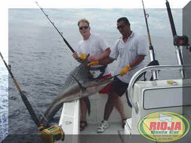 Costa Rica Fishing - Sports Fishing Costa Rica