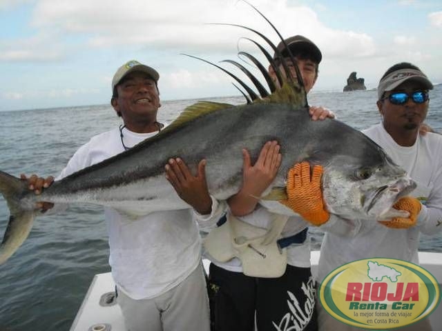 Pesca Deportiva en Costa Rica,la mejor