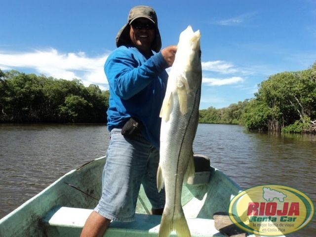 Donde podemos Encontrar una Buena Pesca?