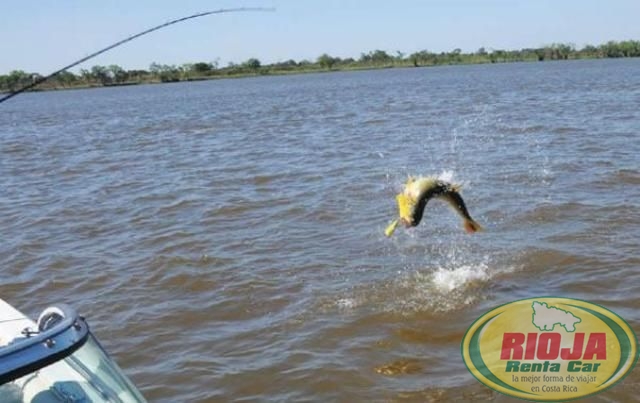 Pesca en Costa Rica