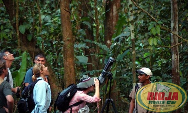 Tecnología satelital permite cuidar riqueza de Corcovado